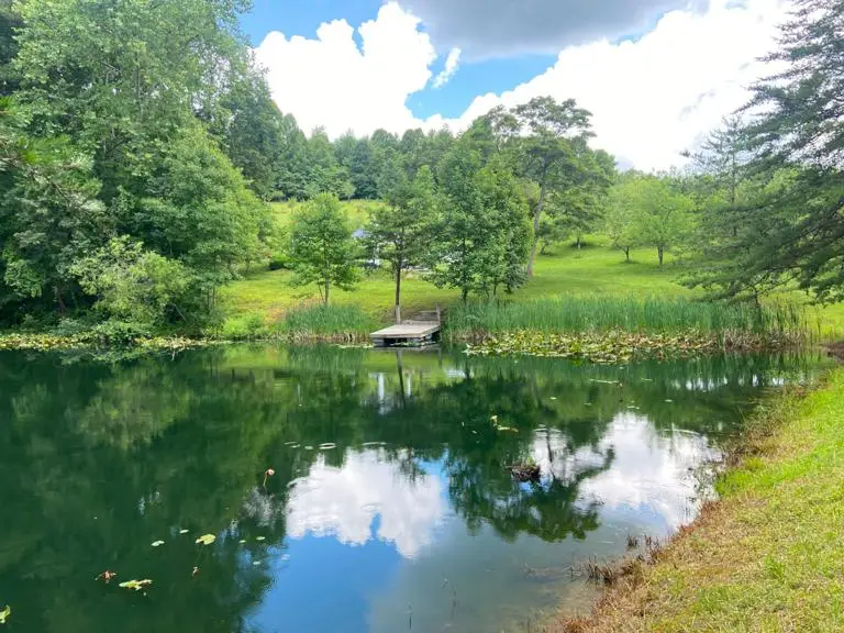 four-seasons-cabin-pond